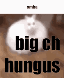 Omba Big Chungus GIF - Omba Big Chungus Chungus GIFs