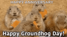 groundhog day eating happy groundhogs day