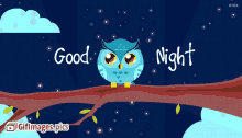 Good Night Owl GIF - Good Night Owl Blink GIFs