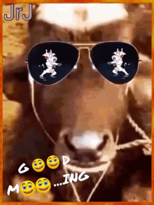 Cow Moo GIF - Cow Moo Goodmorning GIFs