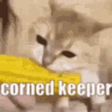Corn Keeper Core Keeper GIF - Corn Keeper Core Keeper Corn Cat GIFs