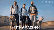 Its Amazing The Pack GIF - Its Amazing The Pack Its Great GIFs