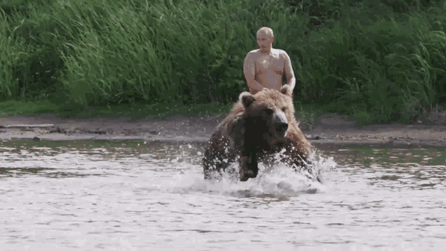 Putin Bear GIF - Putin Bear GIFs
