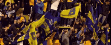 sector boca