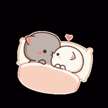 cay kitty kissing good night heart cay kitty kissing good night heart