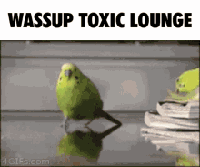 Wassup Toxic Lounge Whats Up GIF - Wassup Toxic Lounge Whats Up Piggy Discord Server GIFs