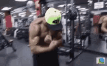 Muscles Gym GIF - Muscles Gym Pecs GIFs