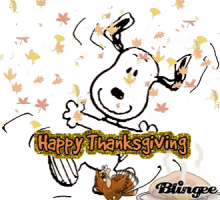 Thanksgiving Week Snoopy GIF - Thanksgiving Week Snoopy GIFs