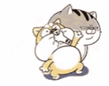 Ami Fat Cat Keep Quiet GIF - Ami Fat Cat Keep Quiet Line Stickers GIFs