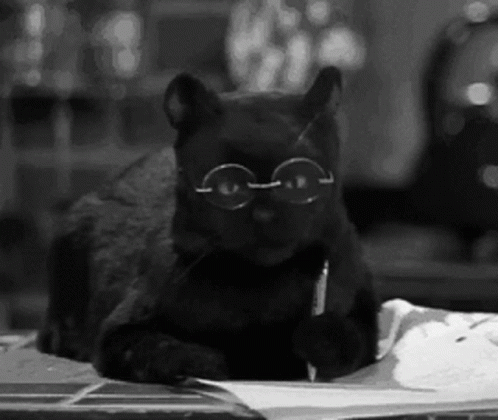 Salem Cat GIF - Salem Cat The - Discover & Share GIFs.