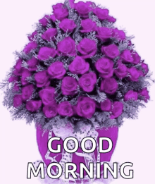 Good Morning Roses GIF - Good Morning Roses Purple GIFs