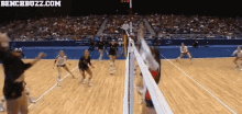 Volleyball Sports GIF - Volleyball Sports Womens Volleyball GIFs