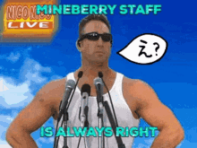 Mineberry Ploxxy GIF - Mineberry Ploxxy Staff GIFs