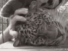 scratch