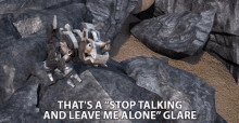 Thats A Stop Talking And Leave Me Alone Glare Skrap It GIF - Thats A Stop Talking And Leave Me Alone Glare Skrap It Trevor Devall GIFs
