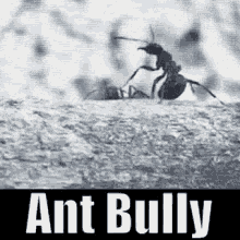 bully meanie ant bully