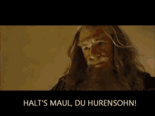 herr ringe