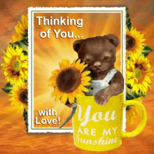 You Are My Sunshine Thinking Of You GIF - You Are My Sunshine Thinking Of You Love GIFs