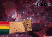 денькосмонавтики космос кот кошара GIF - Cat Space Flying GIFs