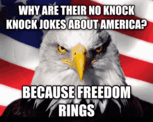 America Muricah GIF - America Muricah Let Freedom Ring GIFs