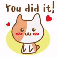 animal kitty cat cute you did it animal kitty cat cute you did it