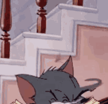 Tom And Jerry Tom The Cat GIF - Tom And Jerry Tom The Cat Evil Face GIFs