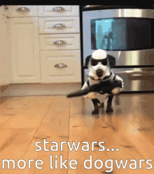 Star Wars Dog GIF - Star Wars Dog Dogwars GIFs