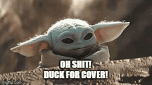 Oh Shit Duck For Cover Oh Crap GIF - Oh Shit Duck For Cover Duck Oh Crap GIFs