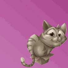 Primogato Gatos GIF - Primogato Gato Gatos GIFs