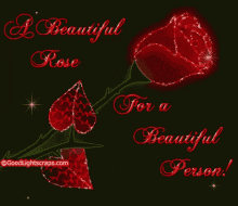 a beautiful rose for a beautiful person red rose sparkle