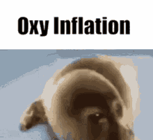 Oxy Oxymoron GIF - Oxy Oxymoron Audience GIFs