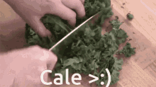 Cale Kale GIF - Cale Kale GIFs