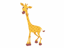 giraffe chill chewing