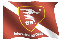 Salernitana 1919 Sticker - Salernitana 1919 Salernitana Calcio Stickers