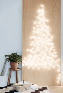 Christmas Tree Christmas Lights GIF - Christmas Tree Christmas Lights Plant GIFs