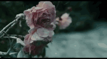 Nuclear Roses. GIF - How I Live Now Movies Nuclear GIFs