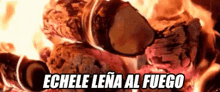 al le%C3%B1a