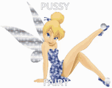 pussy-fairy.gif