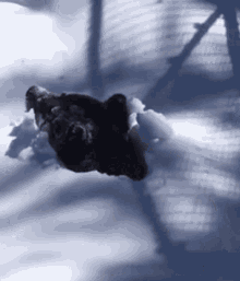 Spring Time Waking Up GIF - Spring Time Waking Up Snow GIFs