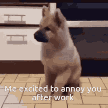 Me Excited To Annoy You After Work GIF - Me Excited To Annoy You After Work GIFs