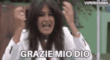 viperissima reaction