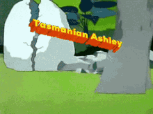 tasmanian ashley momma
