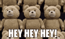 Ted Hey GIF - Ted Hey Teddy Bear GIFs