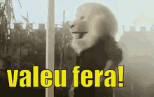 Leão Fera Valeufera Beleza Joinha GIF - Lion Beast Thanks Beast GIFs