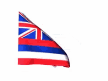 hawaii flag hawaii flag