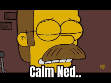 Ned Flanders The Simpsons GIF - Ned Flanders The Simpsons Calm Ned GIFs