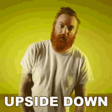 Upside Down Alan Day GIF - Upside Down Alan Day Four Year Strong GIFs