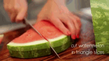 watermelon summer agave