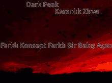 Darkpeak Dark Sky GIF - Darkpeak Dark Sky Bats GIFs