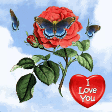 I Love You Red Rose And Butterflies GIF - I Love You Red Rose And Butterflies Heart GIFs